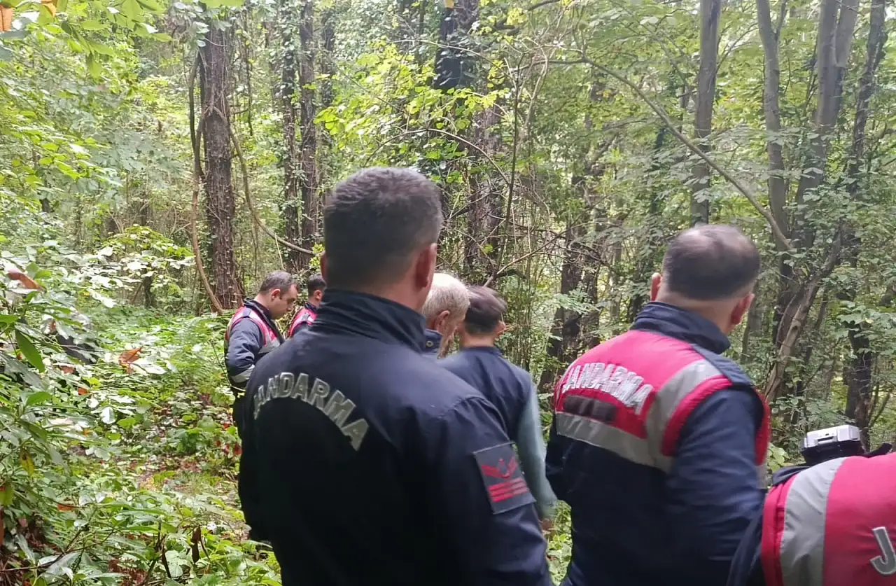 Kestane toplamak için ormana girdi, acı haber geldi!