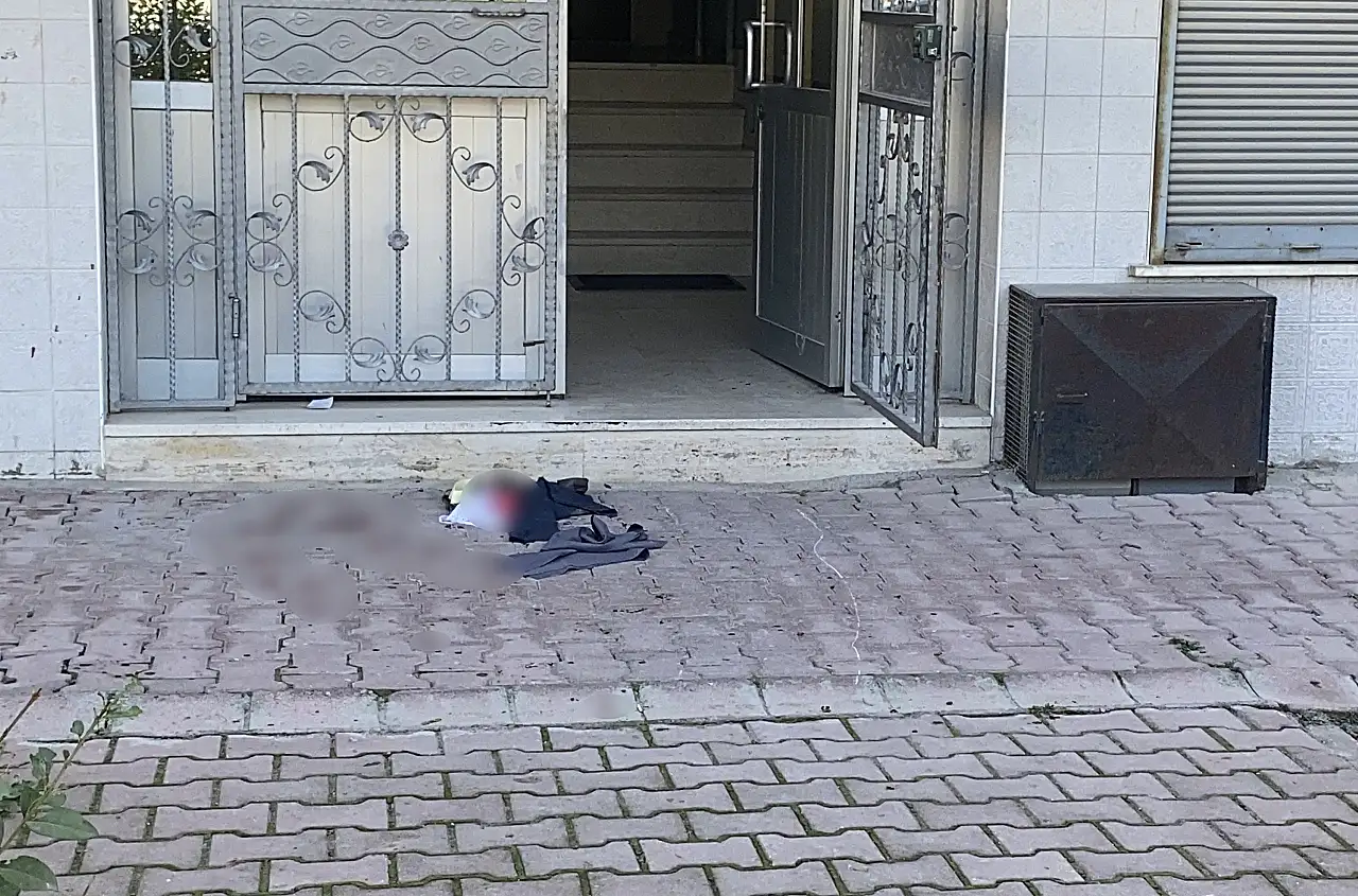 Konya'da akılalmaz kavga! Kedi tüyü meselesi kanlı bitti