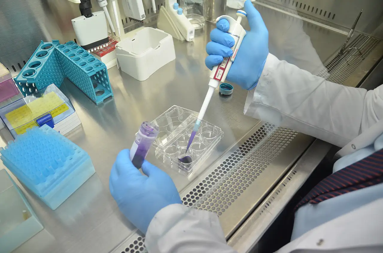 Konya'da literatüre kazandırılan akrebe akdemisyenin soyadı verildi