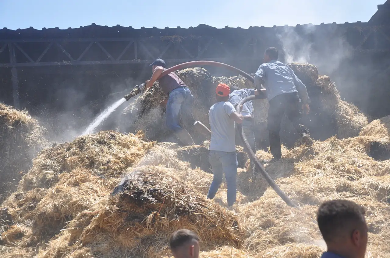 Çiftlikte yangın çıktı: 16 büyükbaş hayvan telef oldu