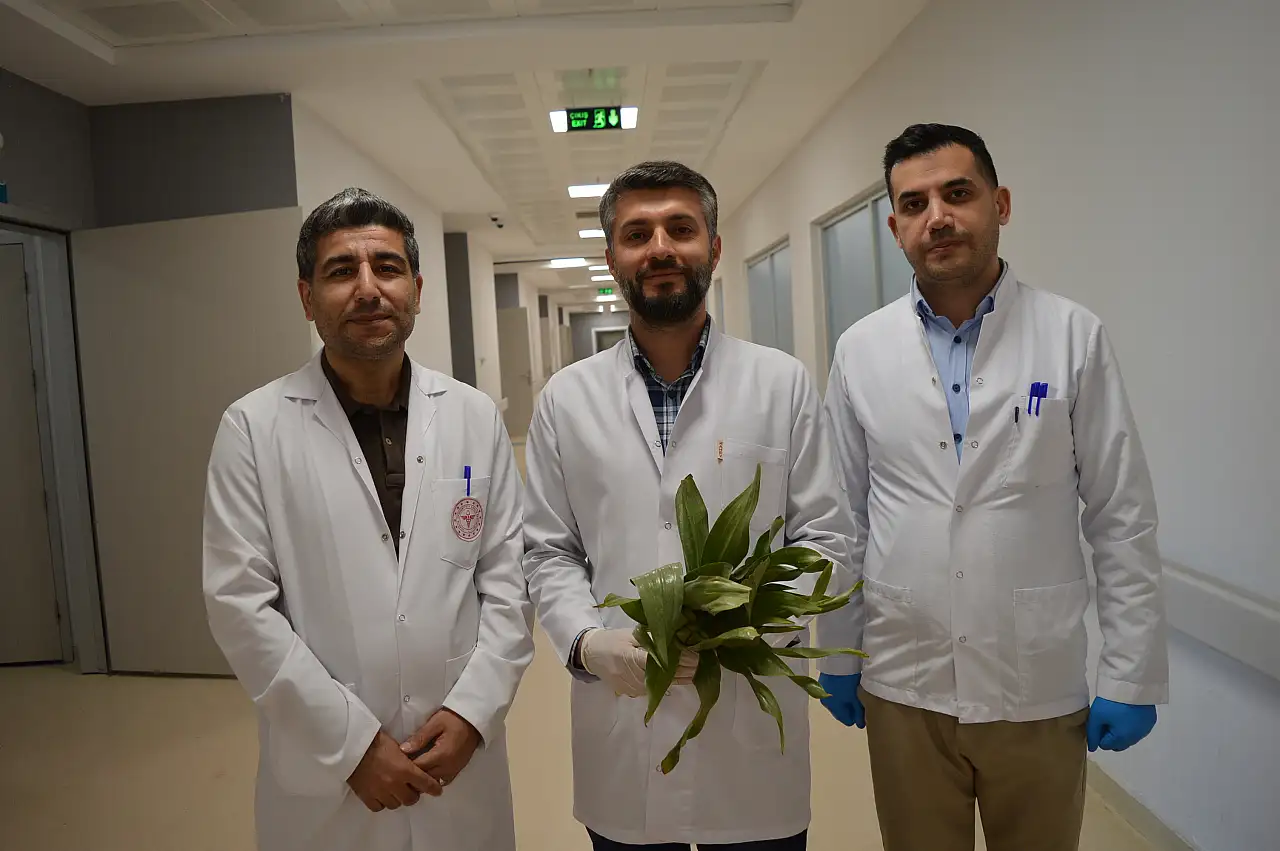 'Şeker hastalığına iyi gelir' sözü ölümle burun buruna getirdi