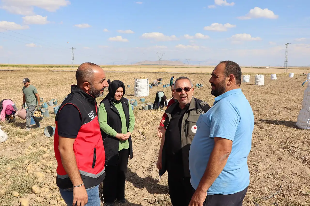 Konya'da hasat mesaisi sürüyor
