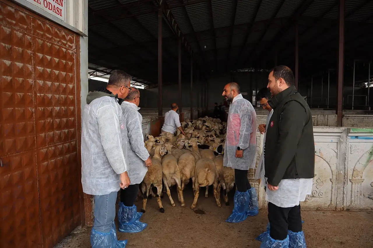 Konya'da sofralara ulaşan et mercek altında!