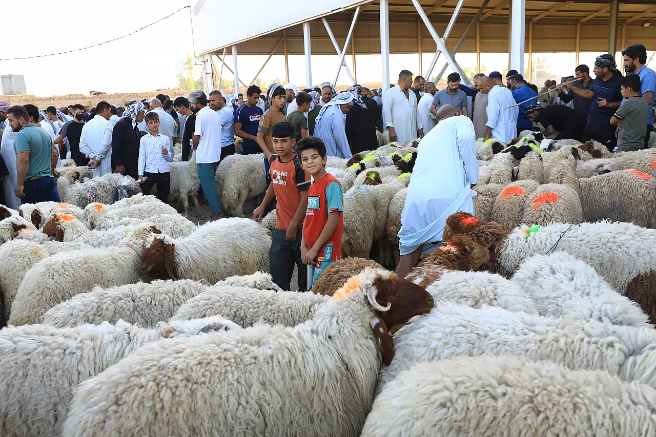 Bağdat'ta kurban pazarlarında hareketlilik devam ediyor