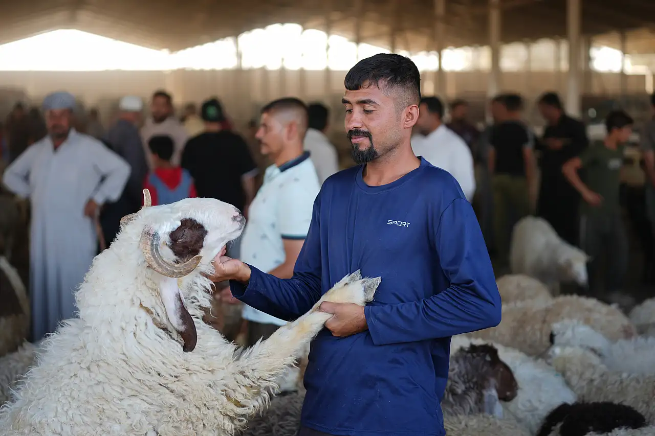 Bağdat'ta kurban pazarlarında hareketlilik devam ediyor