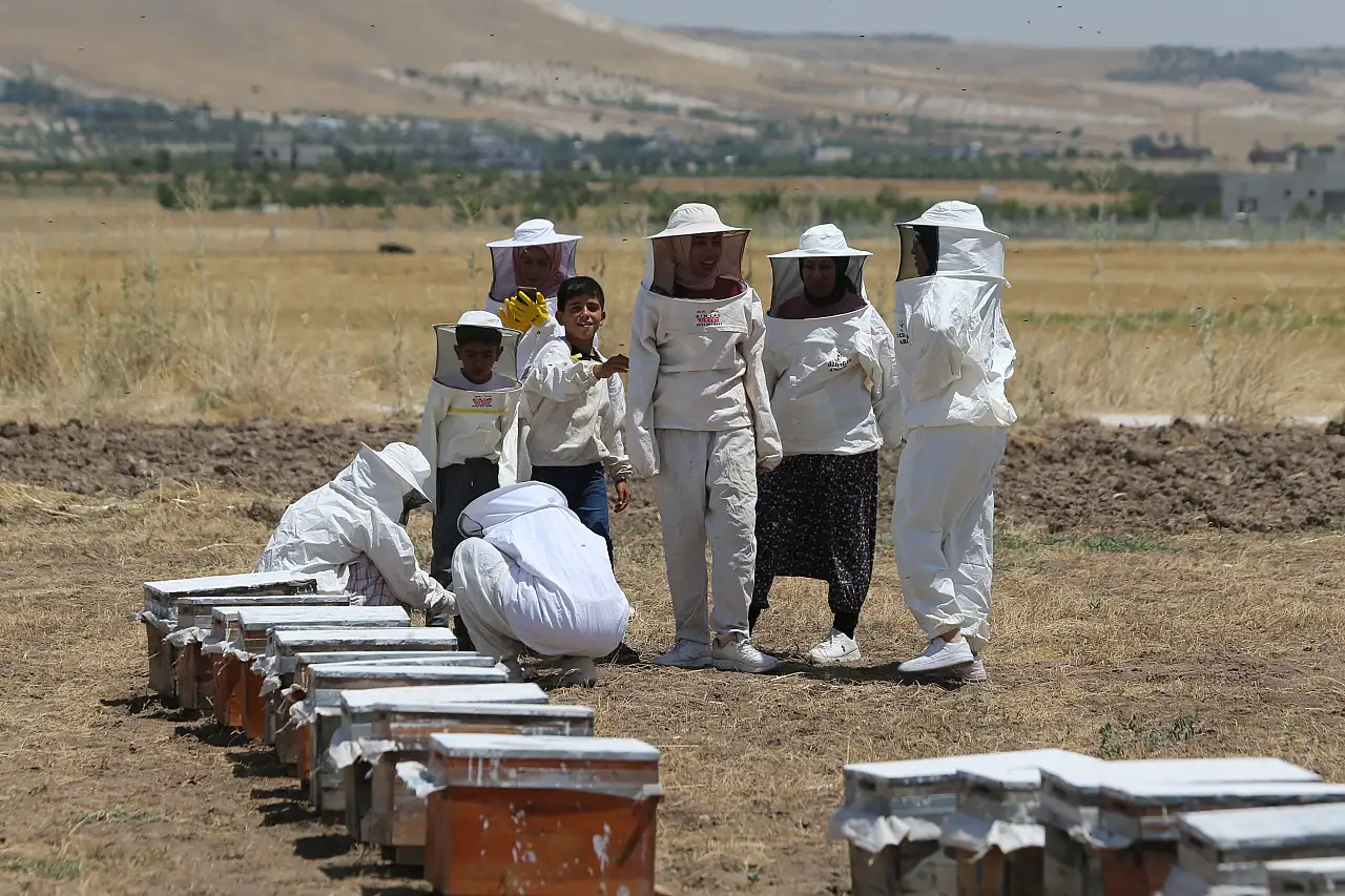 Şanlıurfa'da Kadınlar, Arıcılığı Profesyonel Boyuta Taşıyor