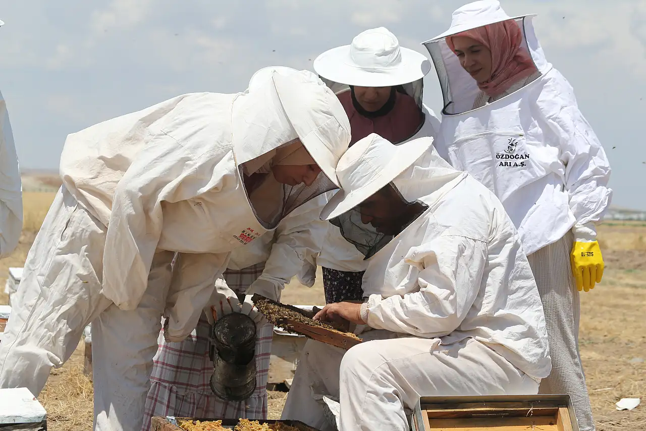 Şanlıurfa'da Kadınlar, Arıcılığı Profesyonel Boyuta Taşıyor