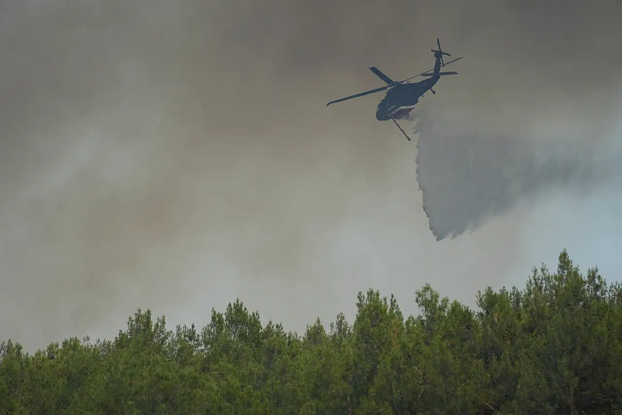 Orman yangınına müdahale sürüyor
