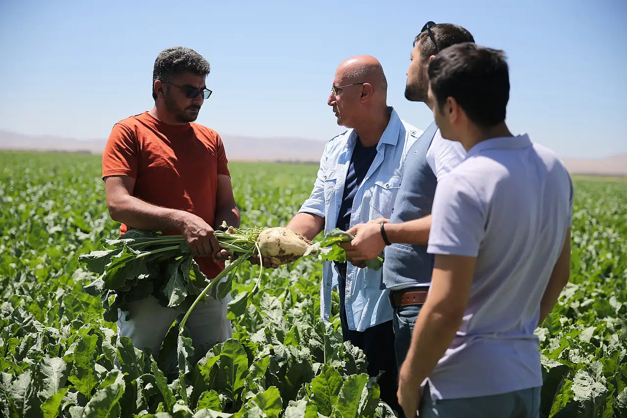 Konya' da kuraklık şeker pancarı üretimini olumsuz etkiliyor