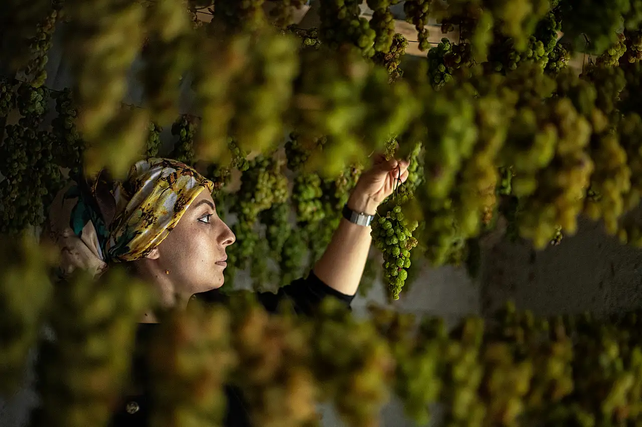 Konya'da geleneksel lezzet: Hadim üzüm pekmezi