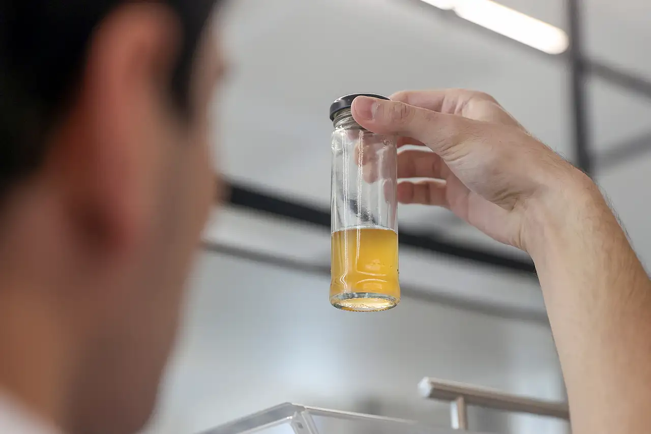 Konya Gıda ve Tarım Üniversitesi'nden tohum ve bitki sağlığı için erken teşhis hizmeti