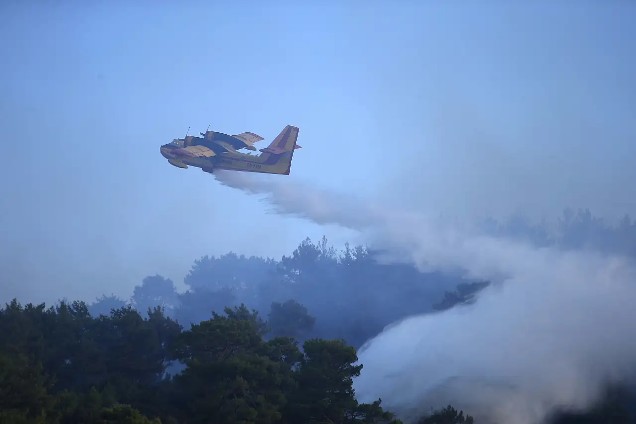 Ormanlık alanda yangın çıktı!