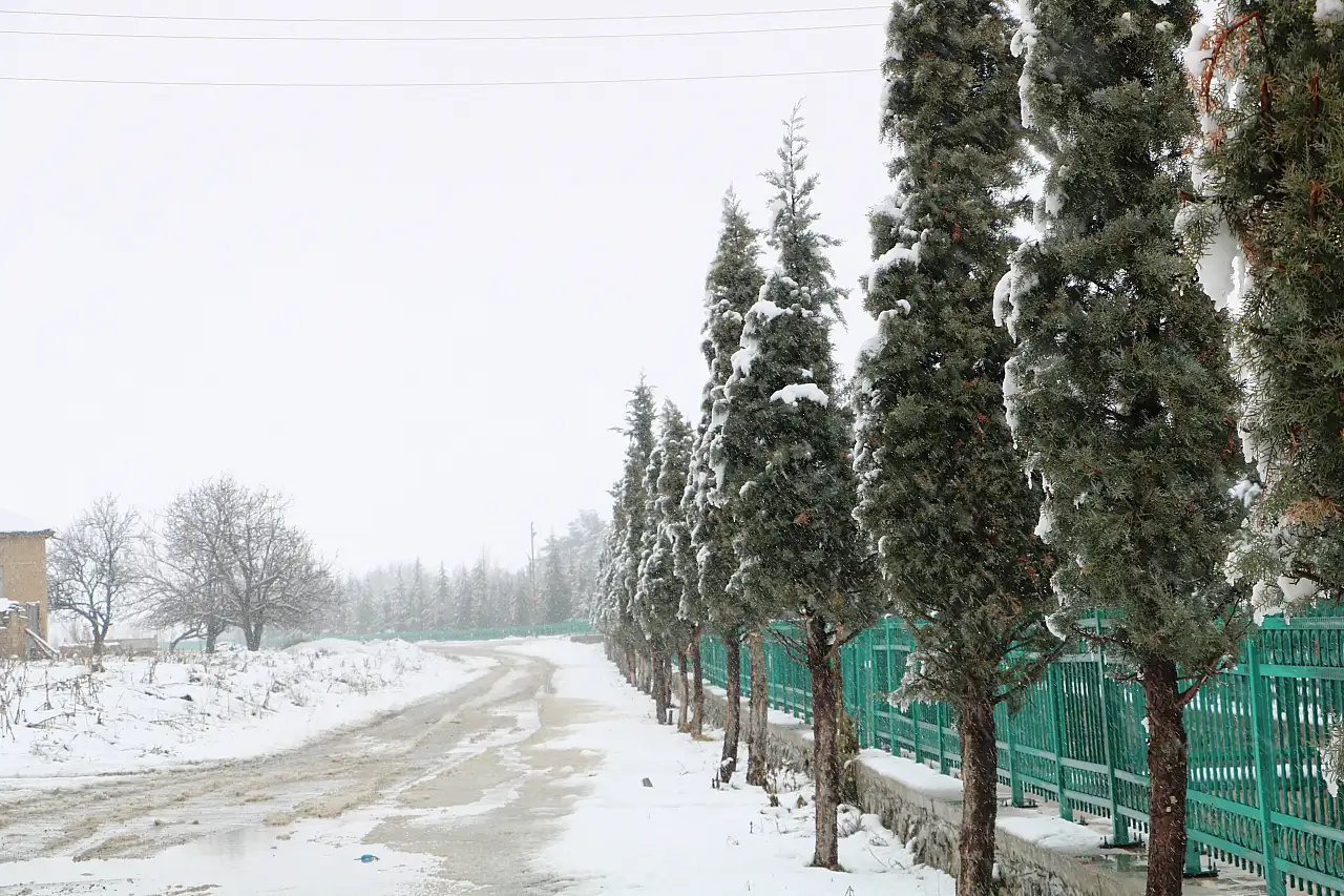 Sarayönü'nde kar yağışı sürüyor