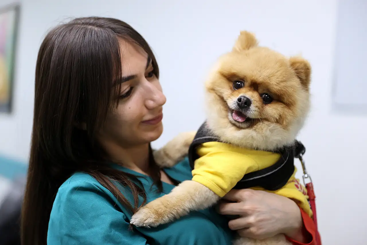 Konya'daki Hayvan hastanesi donanımlı öğrenciler yetişitiriyor