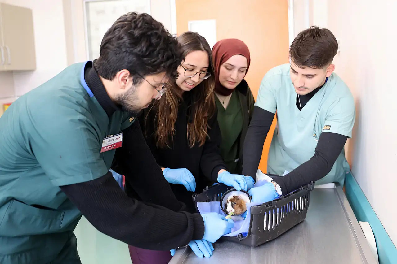 Konya'daki Hayvan hastanesi donanımlı öğrenciler yetişitiriyor