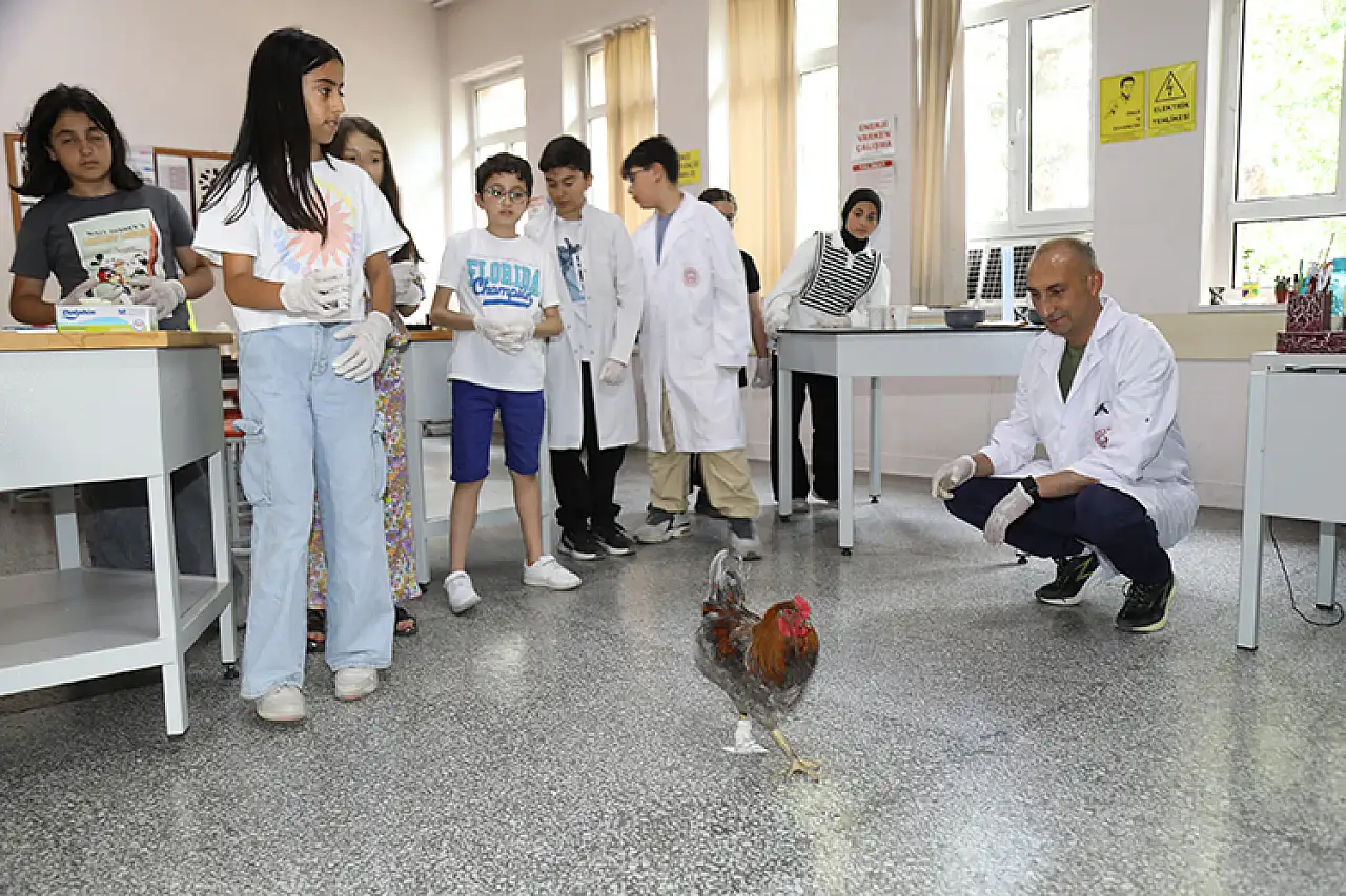 Horoz için geliştirilen protez, öğrencilere ilham kaynağı oldu