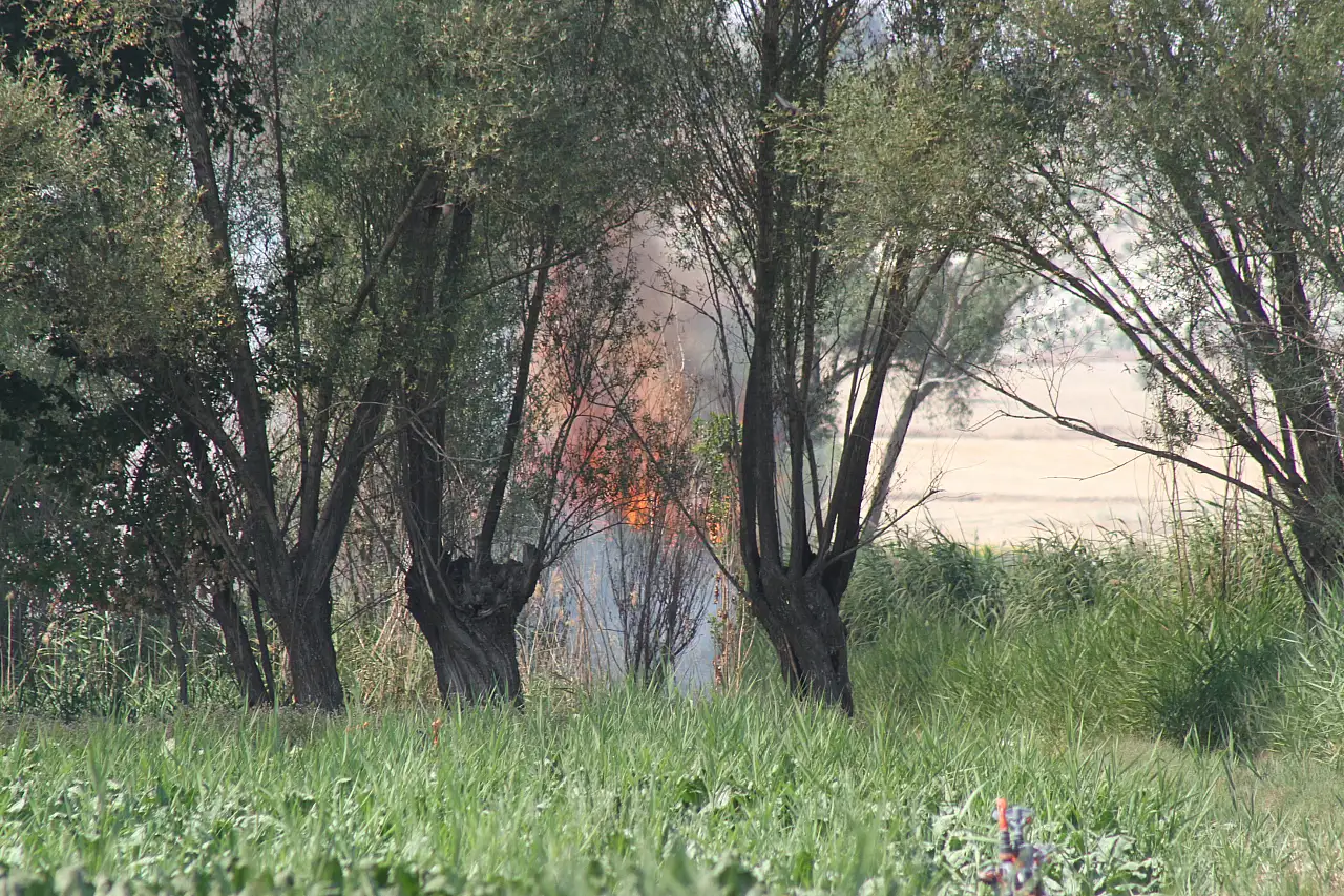 Konya'da biçerdöverde çıkan yangın paniğe neden oldu