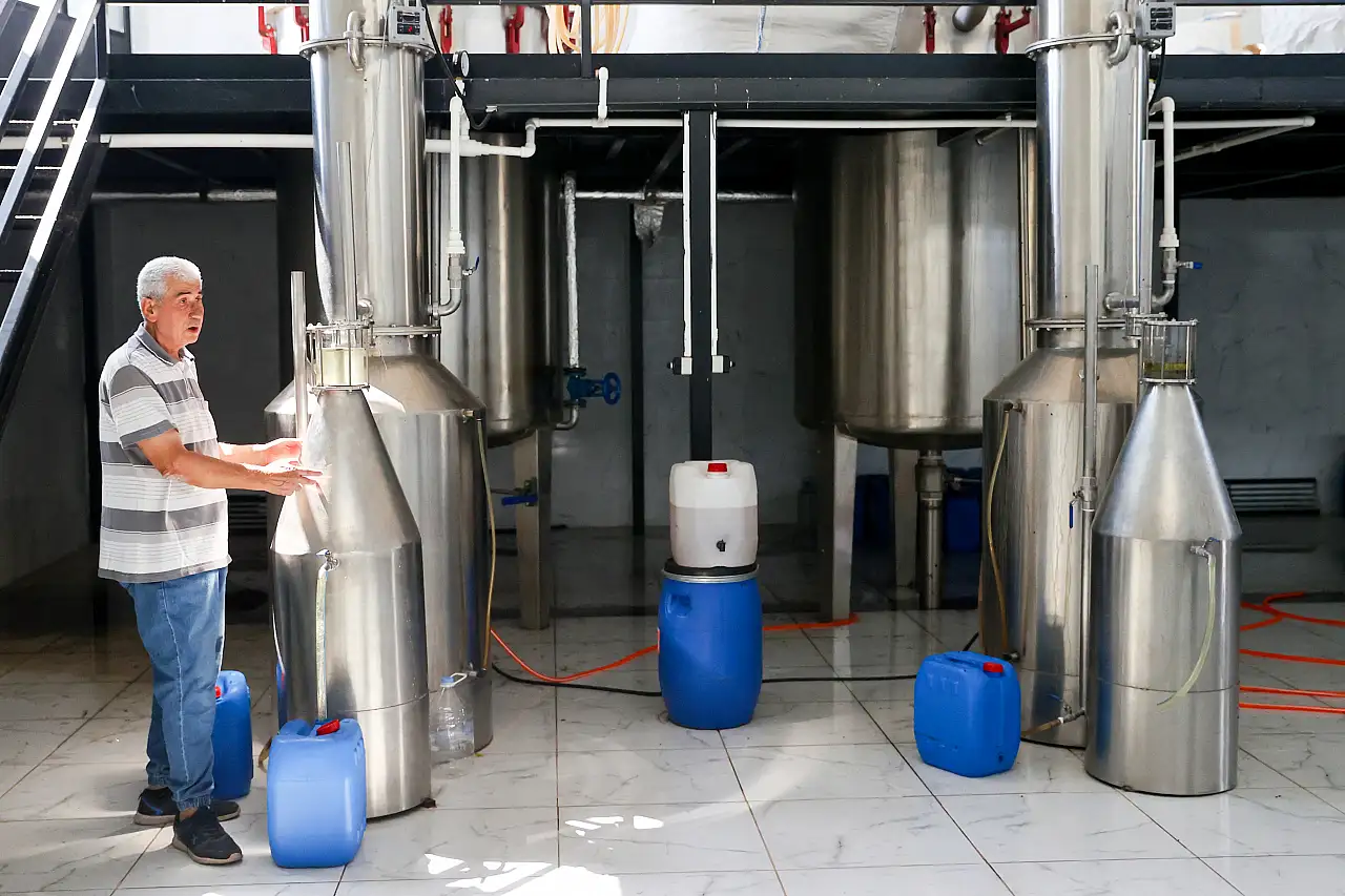 Konya'nın kıraç toprakları lavanta ile ekonomiye kazandırılıyor