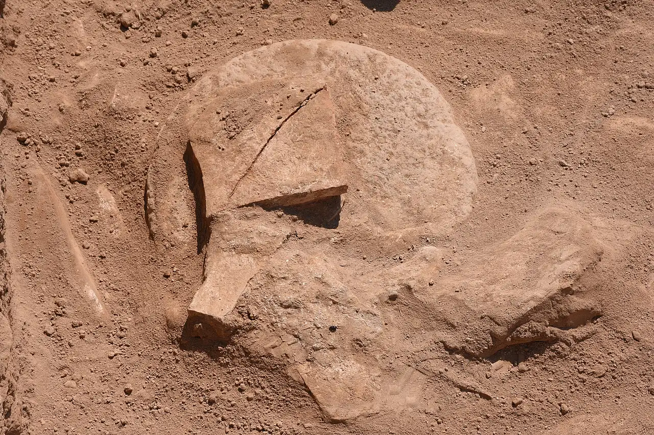 Japon arkeologlar ve öğrencileri, kazı çalışmalarına katıldı
