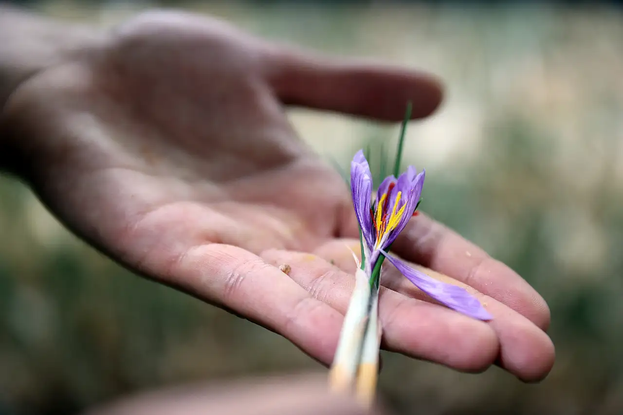 Konya'da 14 metrekarelik tesisten yıllık 1 milyonu aşan gelir