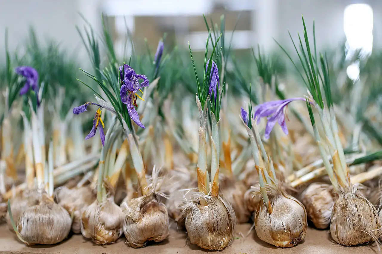 Konya'da 14 metrekarelik tesisten yıllık 1 milyonu aşan gelir