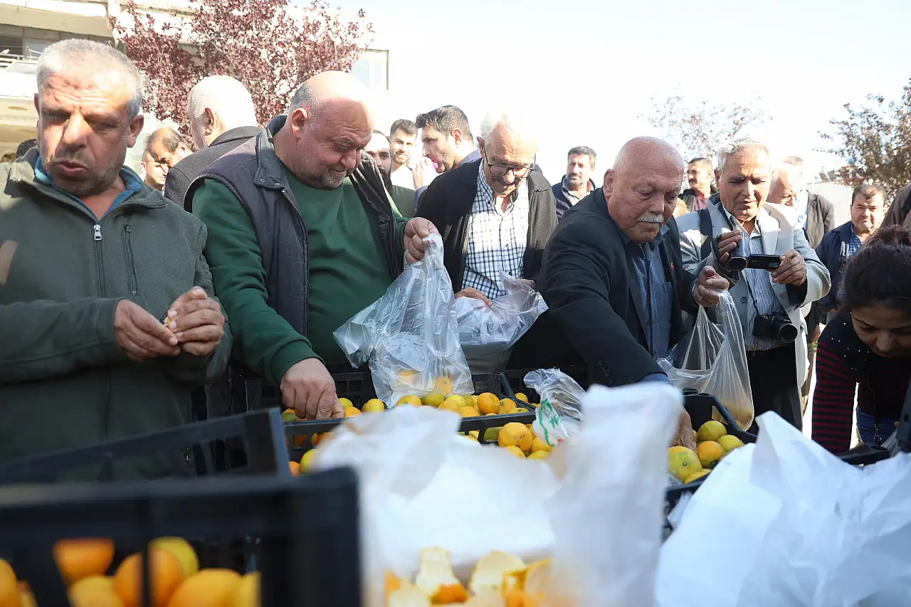Marketlerde 30 TL, tarlada 2 TL: Mandalina fiyatlarında uçurum büyüyor