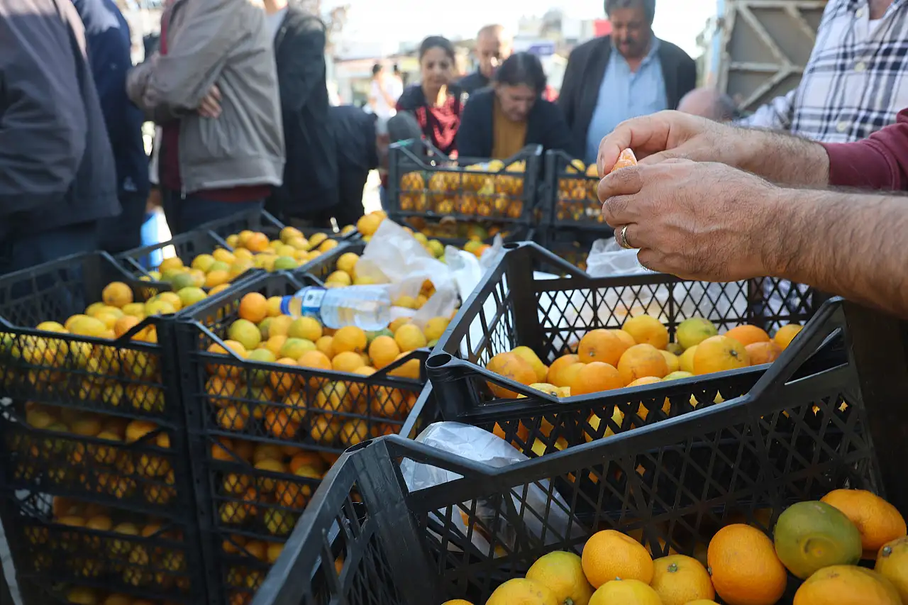 Marketlerde 30 TL, tarlada 2 TL: Mandalina fiyatlarında uçurum büyüyor