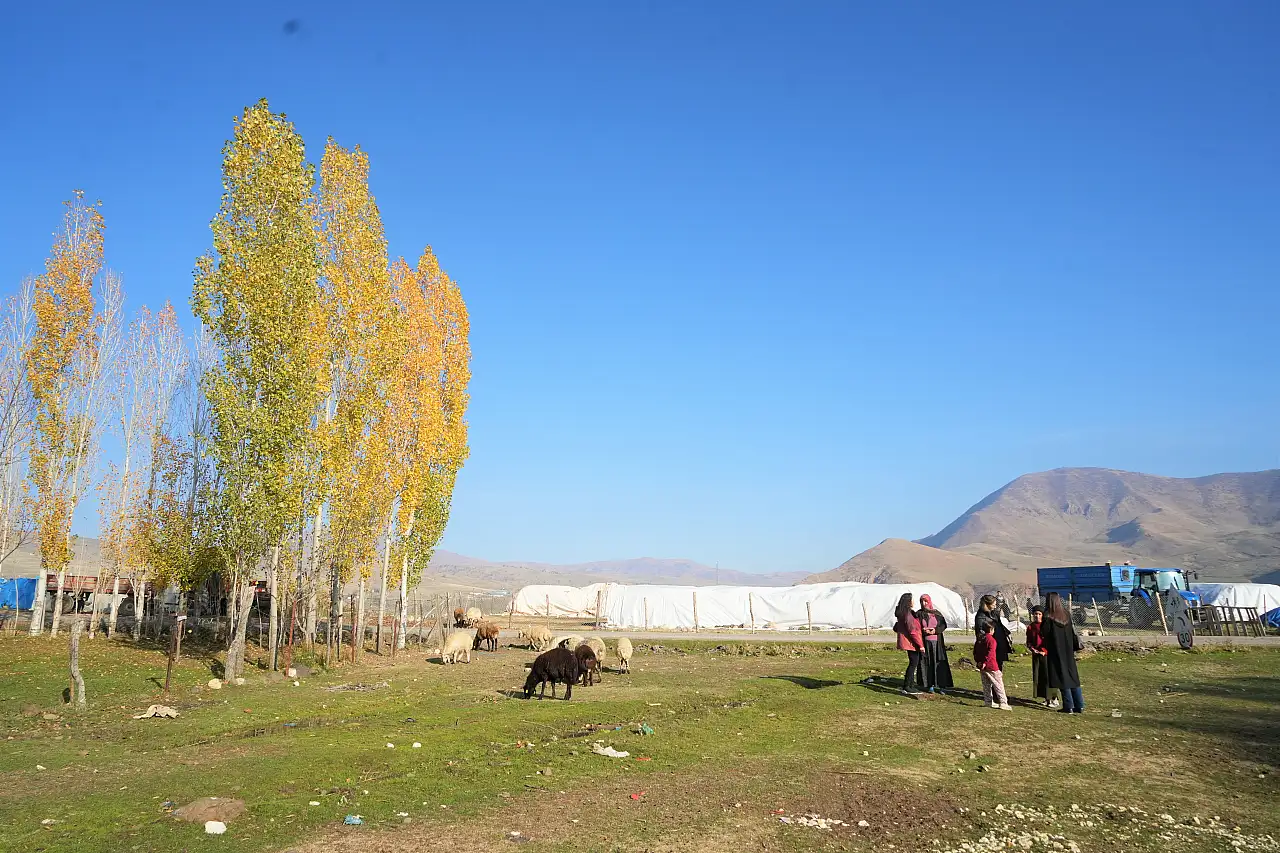 Öğretmenler, öğrencilerini arıyor!