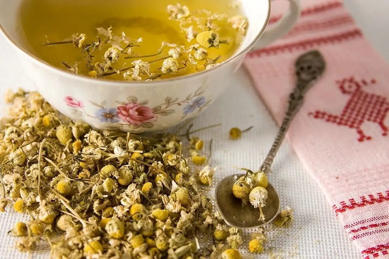 Bilim insanları açıkladı: Bu bitki ağrıkesicilerle aynı etkiyi gösteriyor!