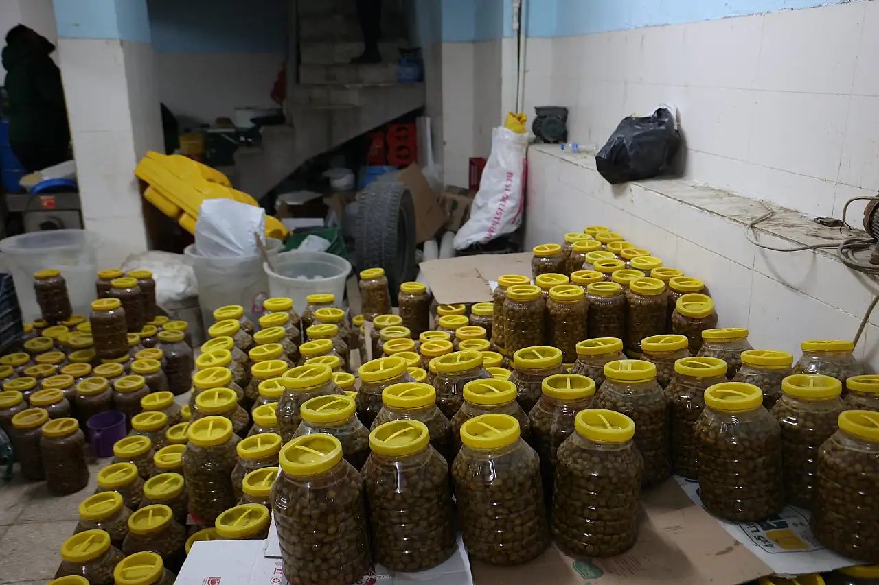 Mide bulandıran görüntüler! Merdiven altı üretimde fareler bulundu