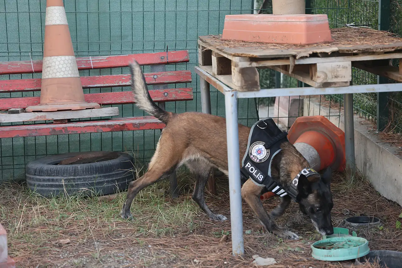 'Bulunmaz' denilen zulalar Konya'daki bu burunlardan kaçamıyor