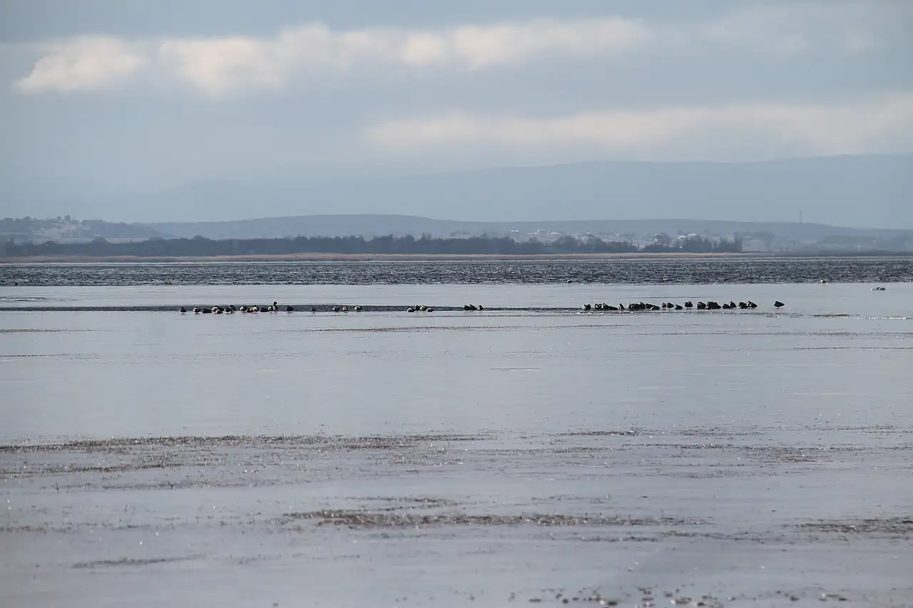 Türkiye'nin en büyüğü, Konya'nın dondurucu soğuklarında buz tuttu