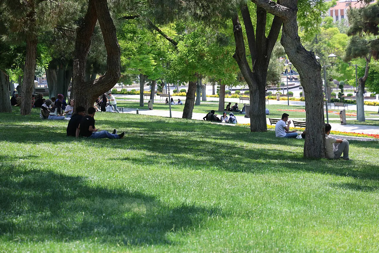 Konya'da o tehlike yeniden ortaya çıktı! Uzmanlar peş peşe uyardı