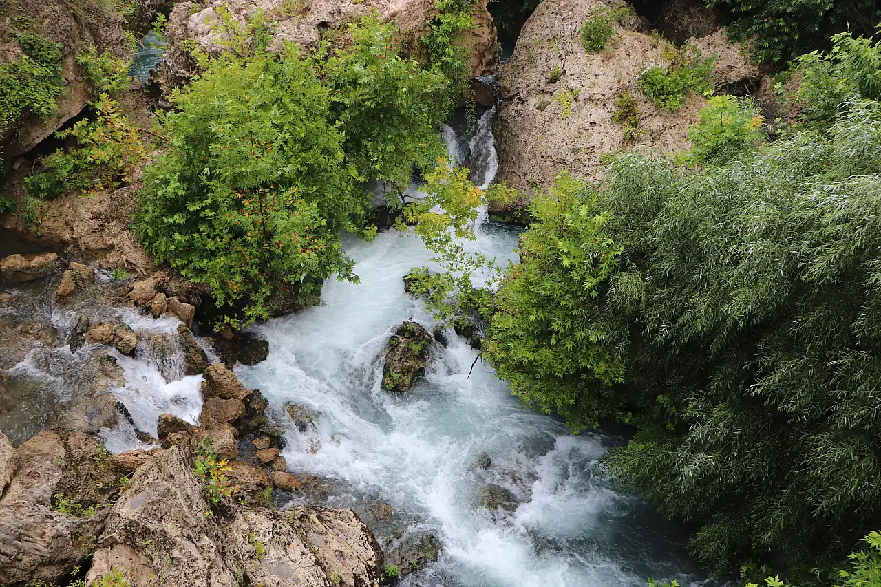 Fırsatını bulan Konya'daki o adrese akın etti!