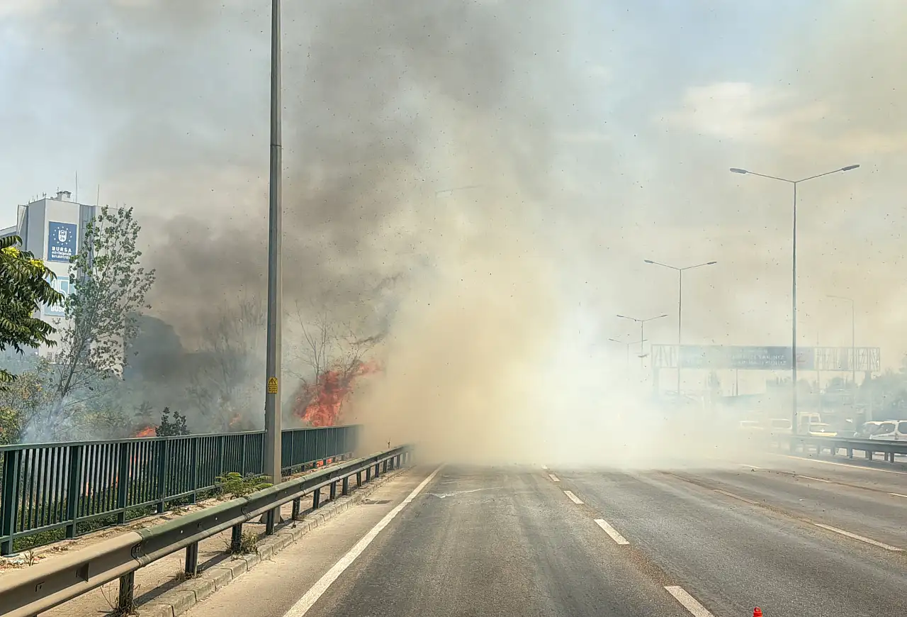 Osmangazi'de çıkan orman yangını hızla söndürüldü