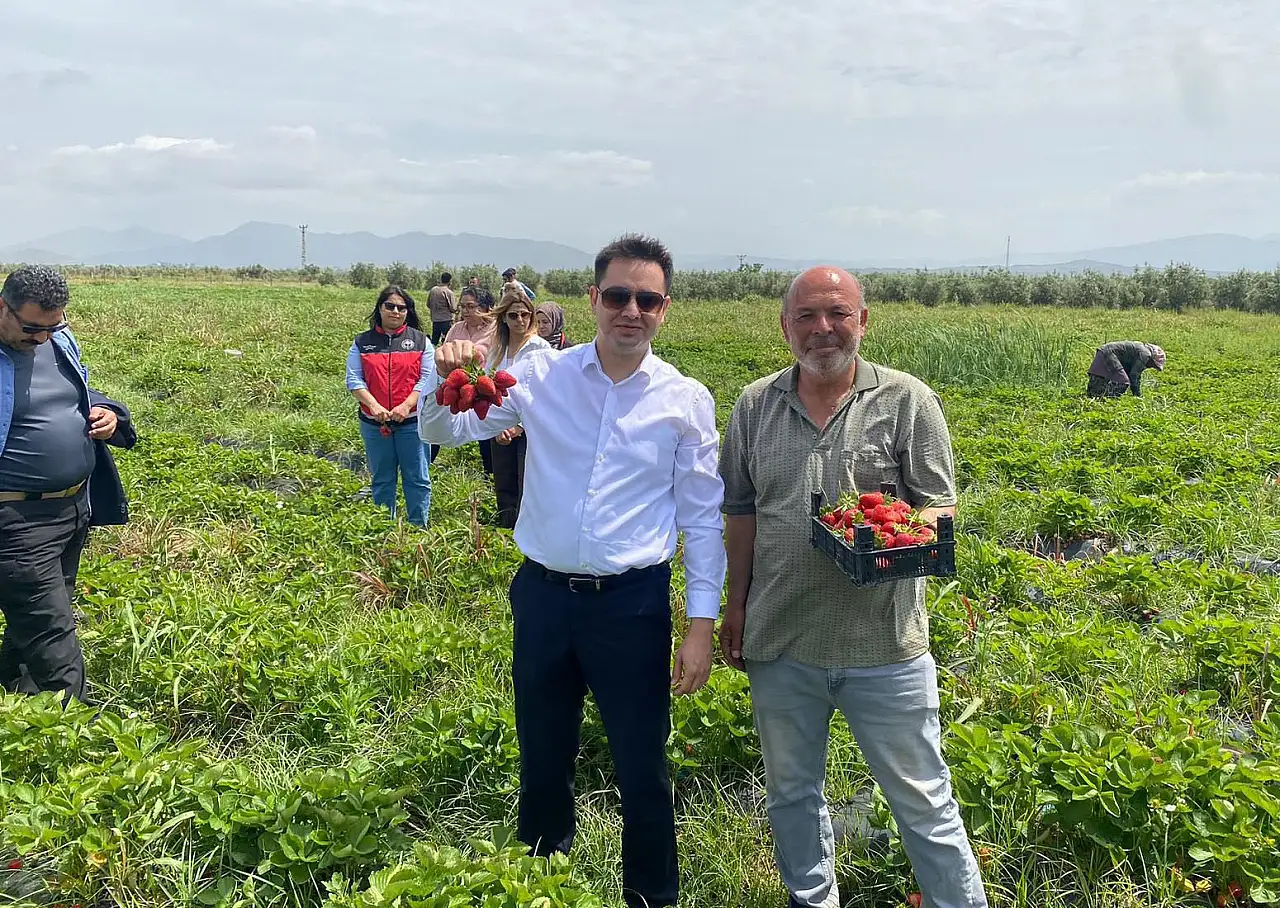 Dağ meltemi lezzeti artırdı: Fiyatı 110 TL'ye kadar çıktı