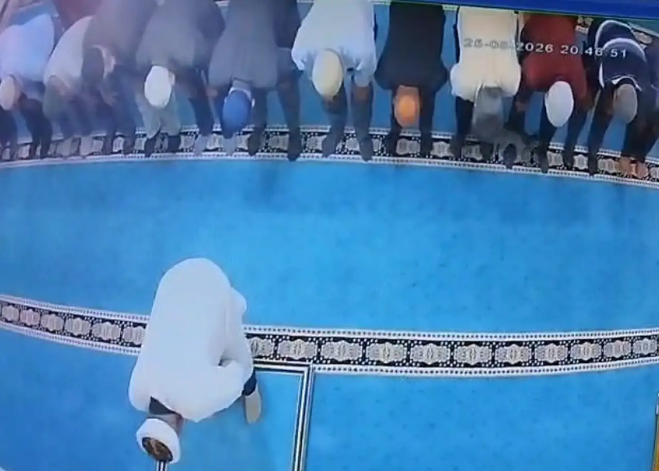 Aziziye'de kediyi tekmeleyen şahıs için savcılık harekete geçti