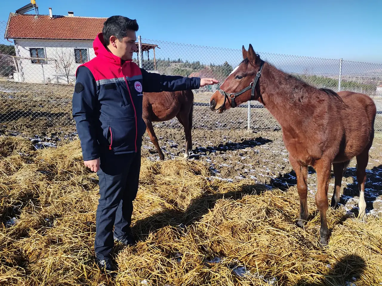 Konya'da hayvan sağlığı için ekipler sahada