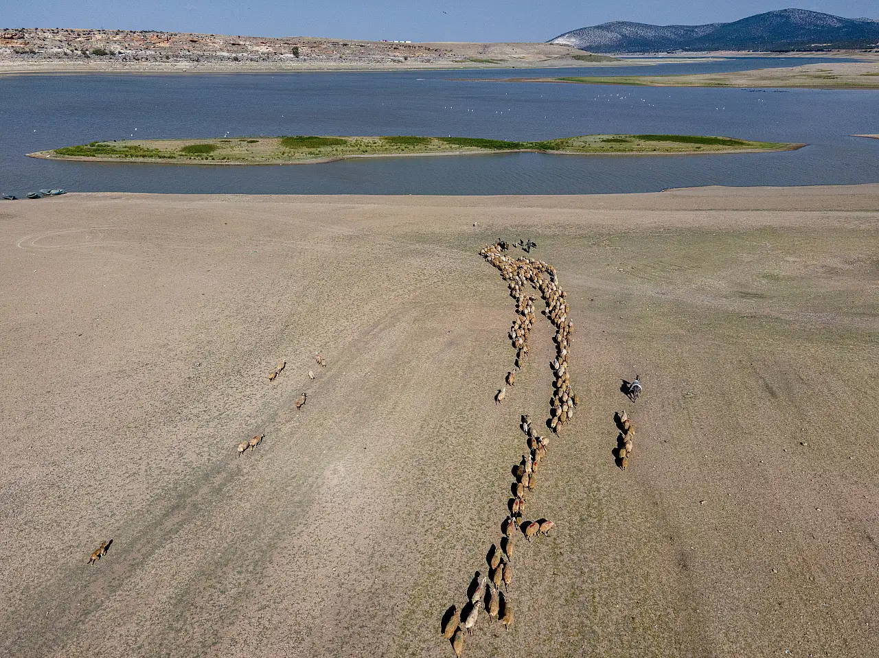 Apa barajı kuraklığın etkisi altında