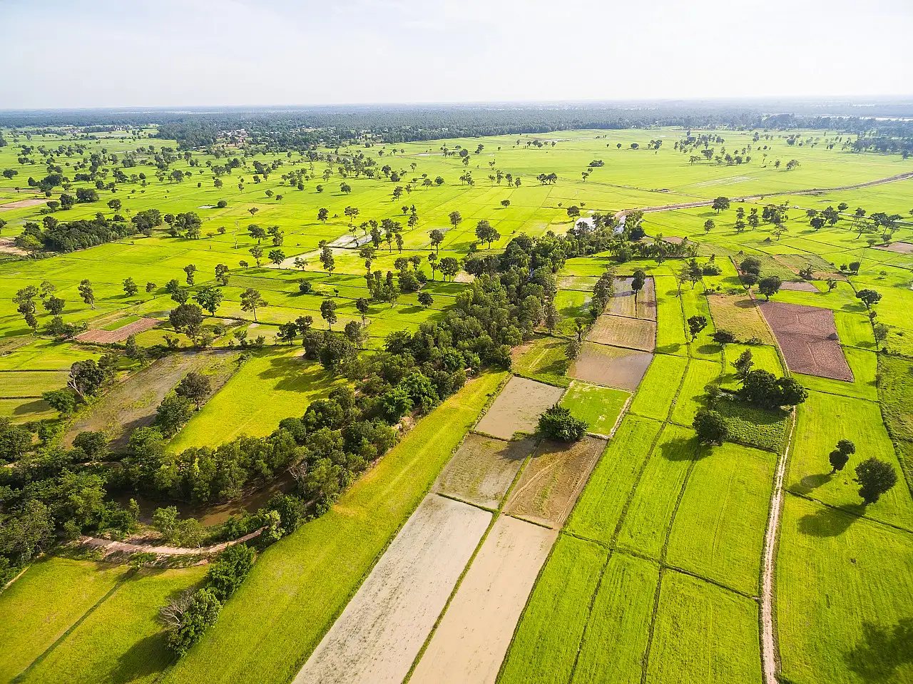 Konya'da dev arsa icradan satışa çıkarılıyor! İşte fiyatı...