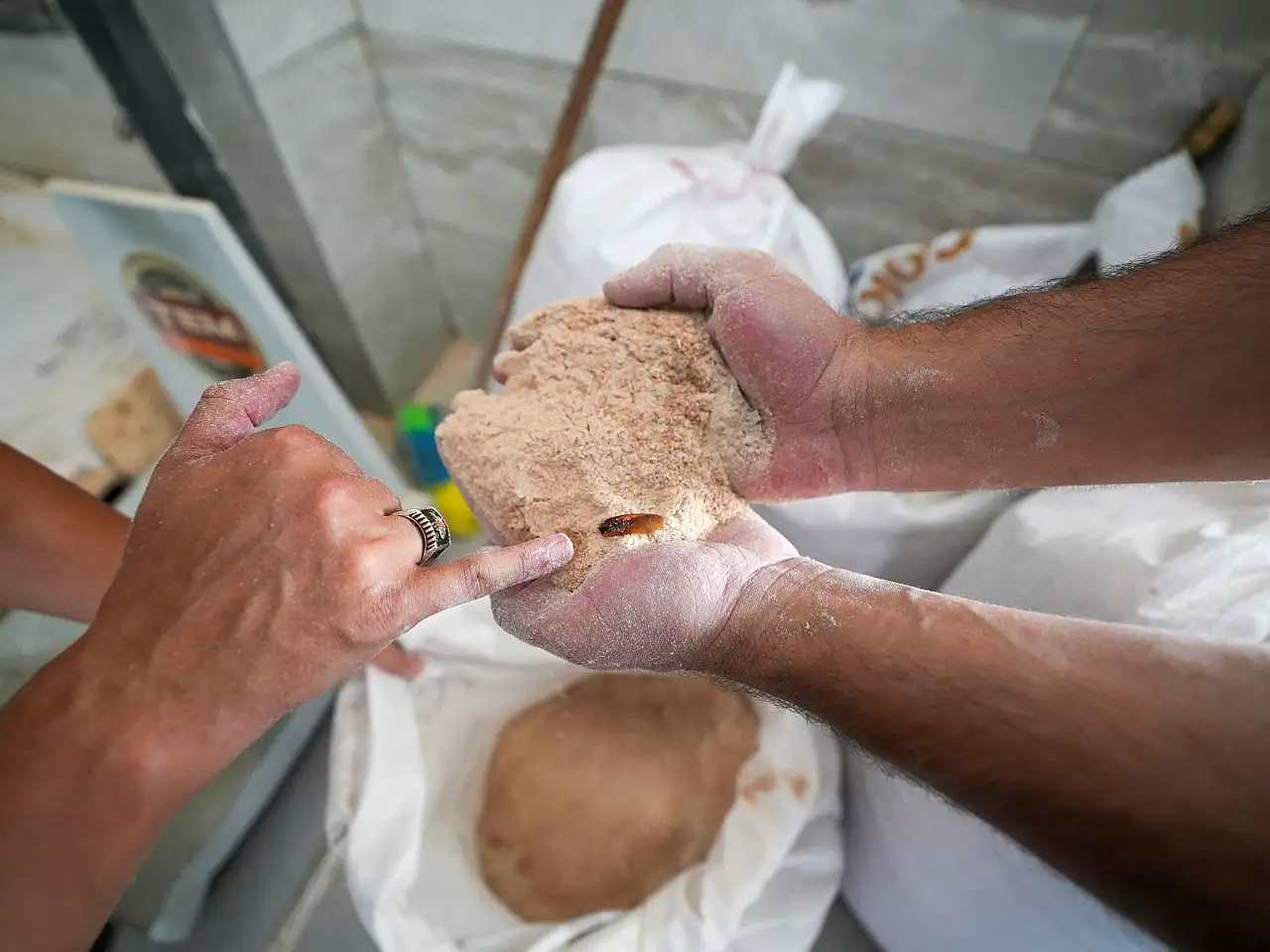 Un fabrikasında mide bulandıran görüntüler