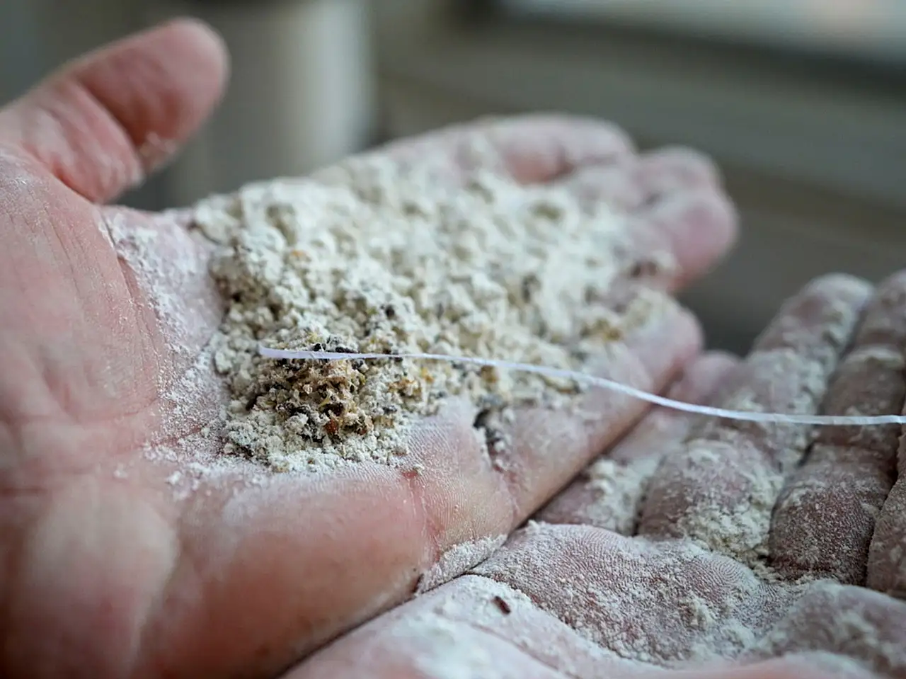 Un fabrikasında mide bulandıran görüntüler