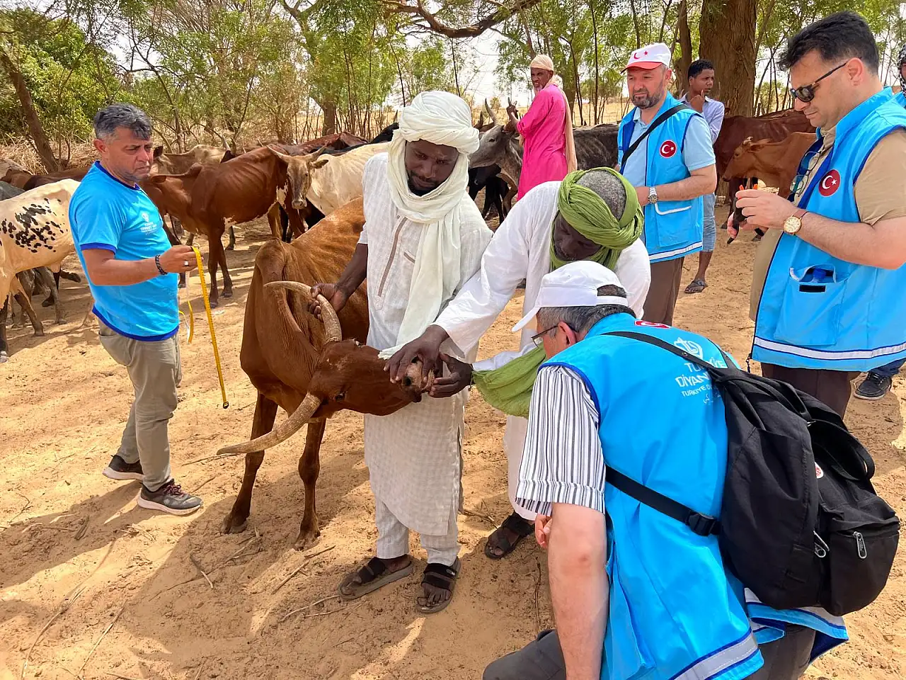 TDV, Nijer'de Kurban Bayramı için hazırlıklarını hızlandırıyor