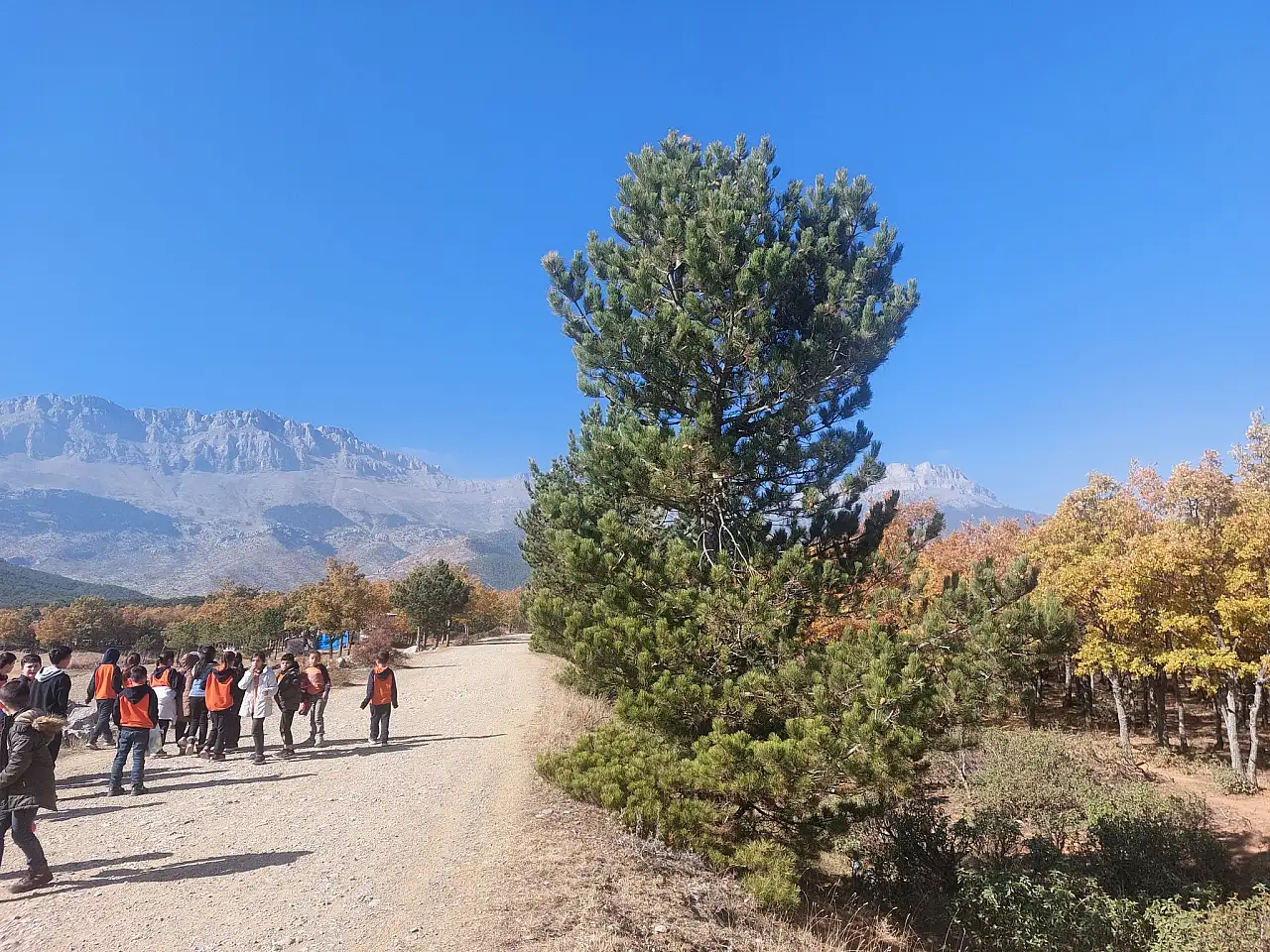 Öğrenciler doğaya saygı için yürüdü