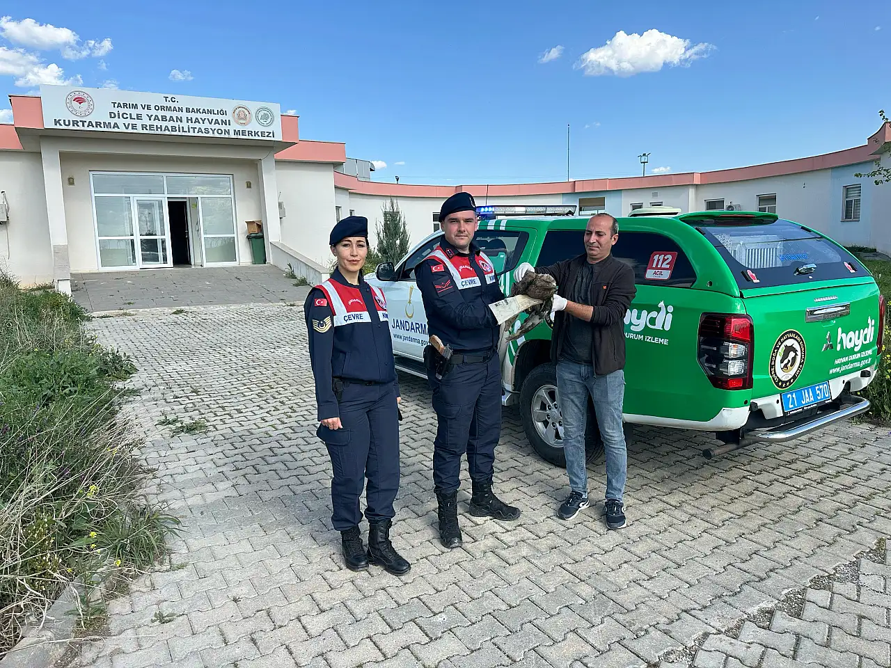 Jandarmanın yaralı halde bulduğu şahin tedaviye alındı