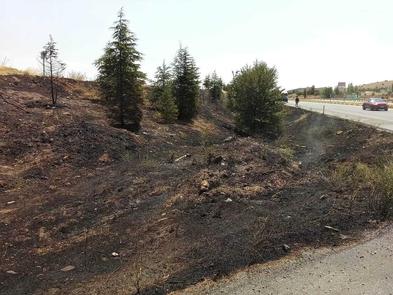 Konya'da korkutan yangın: Alevler ağaçlara sıçradı