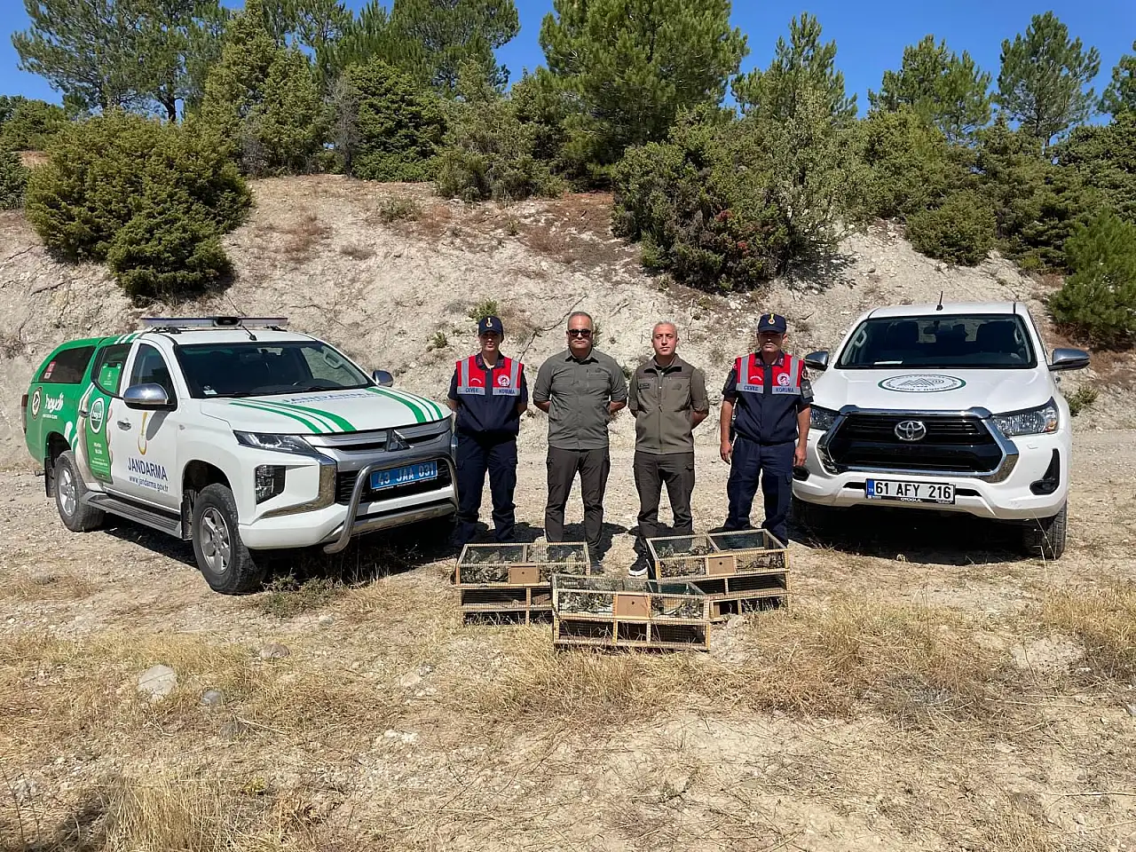 Operasyonla ele geçirilen saka kuşları doğaya salındı