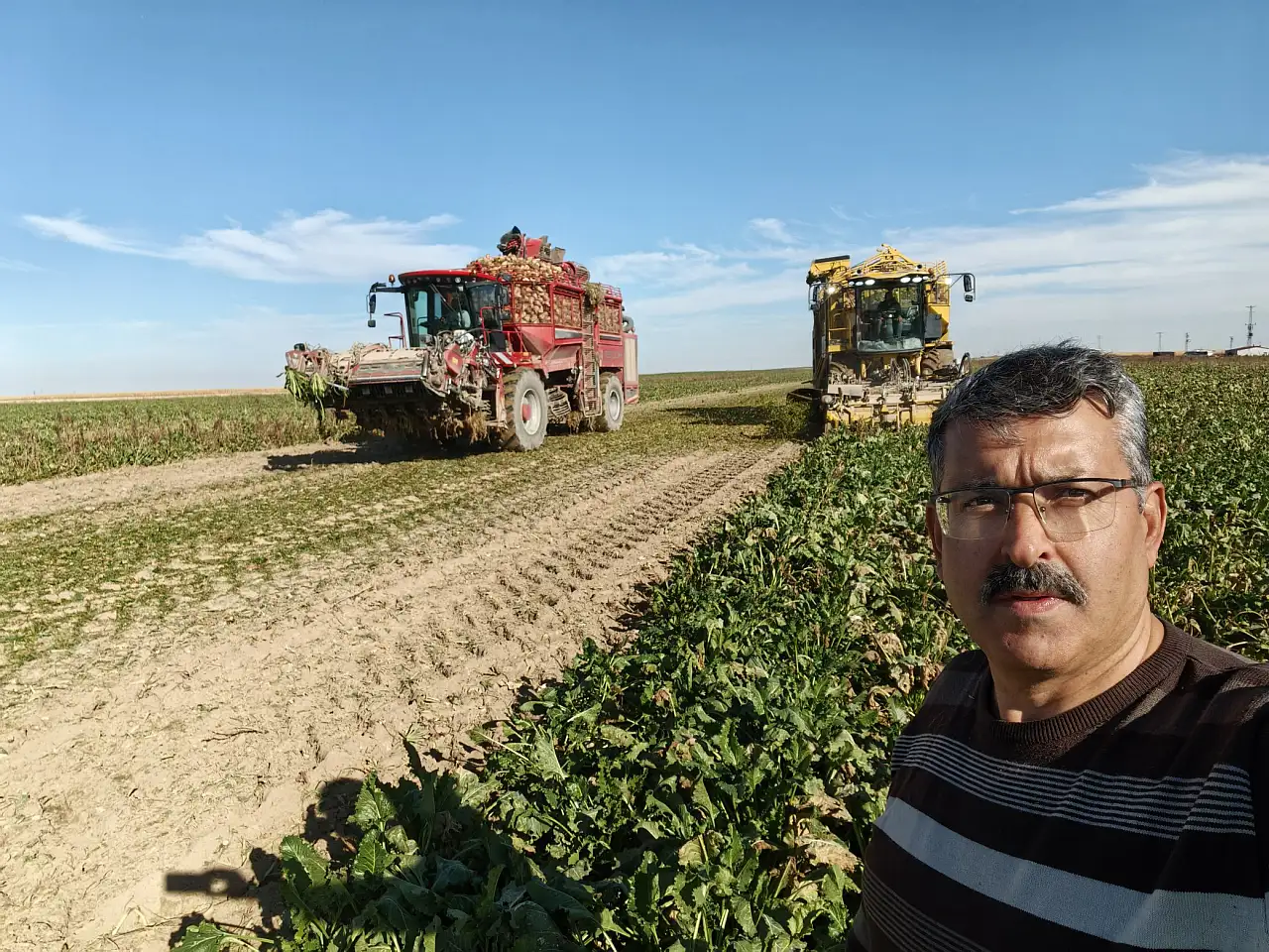 Konya'da şeker pancarından çıkan verim şoke etti... Uzman isim açıkladı...