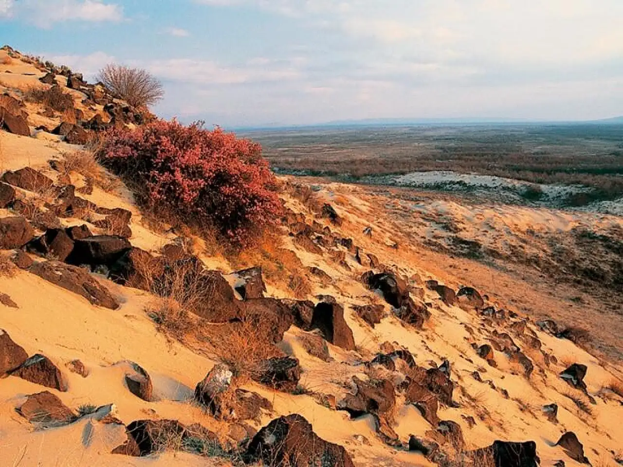 Türkiye'de başka örneği yok! Konya'daki bu doğa harikası ziyaretçi akınına uğruyor