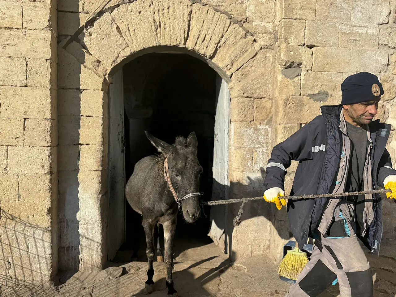 Teknoloji, kadrolu eşekleri emekliye ayırıyor